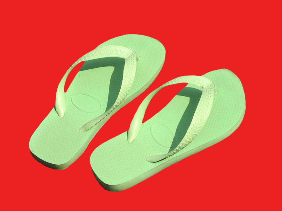 Flip Flops