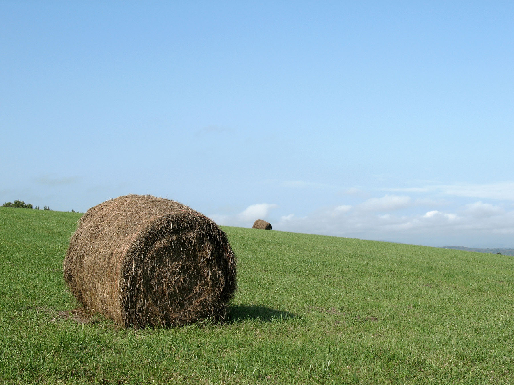 A hay bale in color