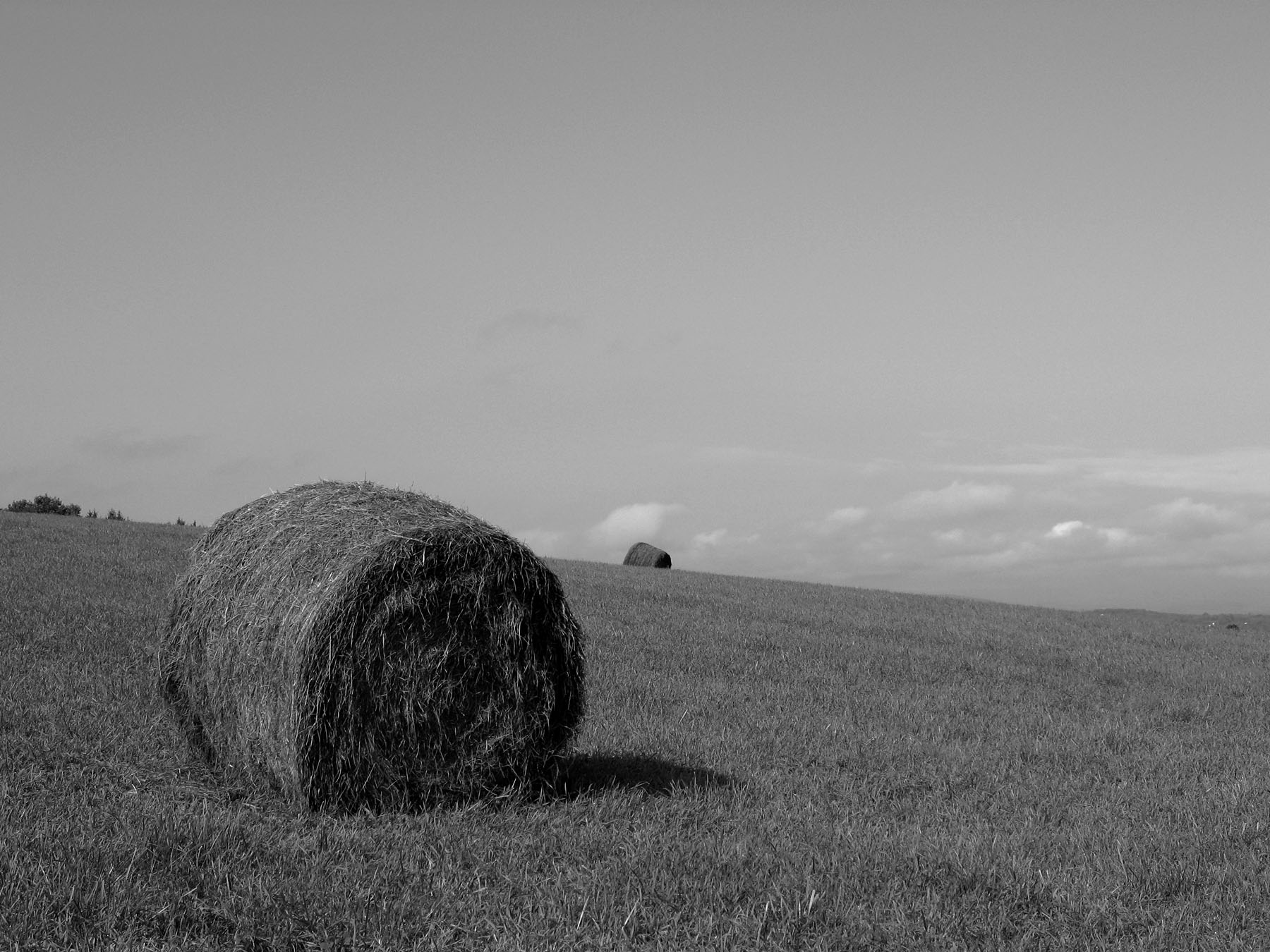 A hay bale in black and white