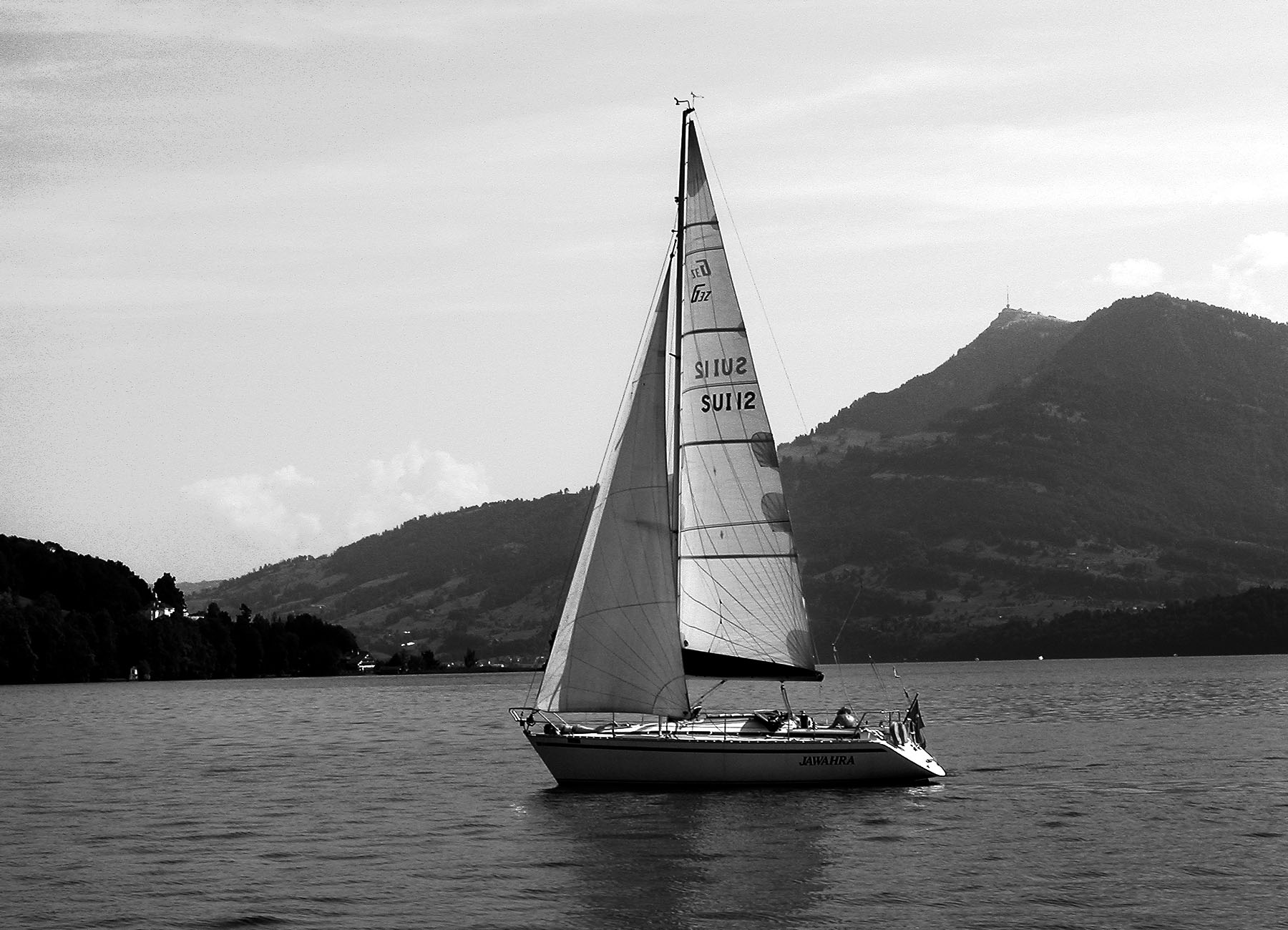 A sailboat in black and white
