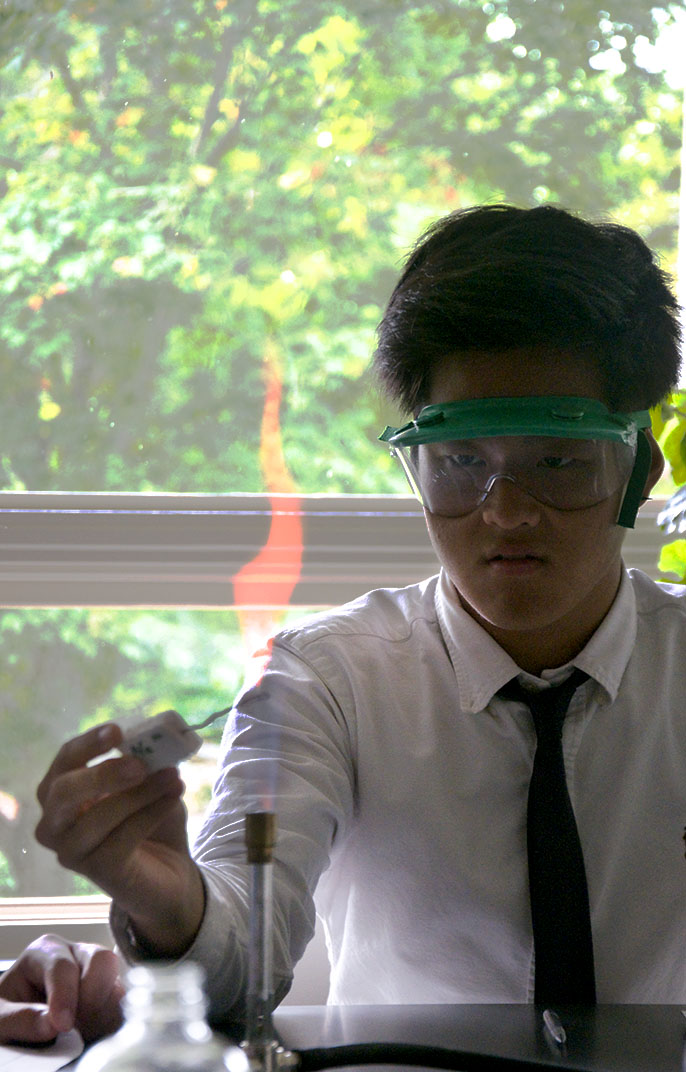 A student performing a science experiment near a window in color