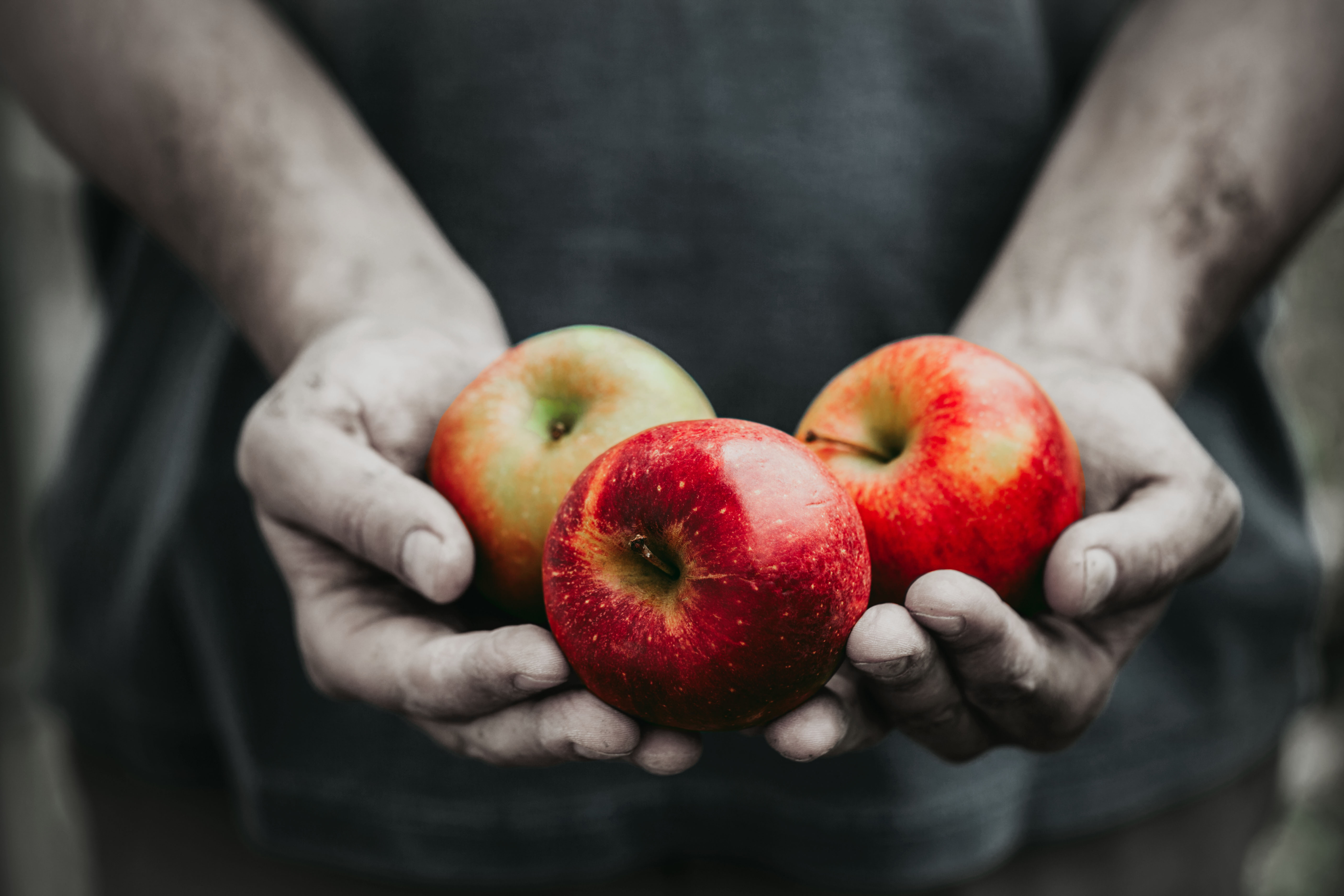 A person tinted in black and white holding saturated apples
